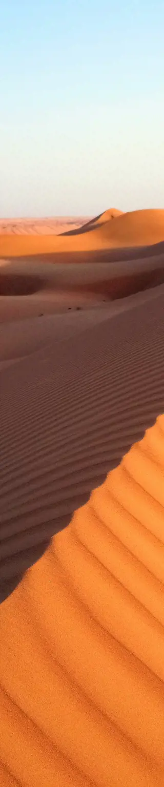 Lasse den Sternenhimmel der Wüste auf dich wirken